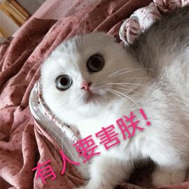 倒吸凉气,同名同姓同身份证号被贷款! 倒吸凉气,同名同姓同身份证号被贷款!