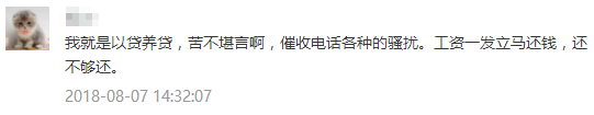 那些“以贷养贷”的人,后来都怎么样了? 那些“以贷养贷”的人,后来都怎么样了?