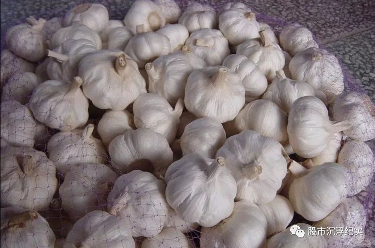 大蒜期货是怎么交易的?大蒜期货电子盘有吗? 大蒜期货是怎么交易的?大蒜期货电子盘有吗?