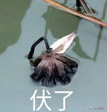为什么要房抵贷，直接卖房不香吗？