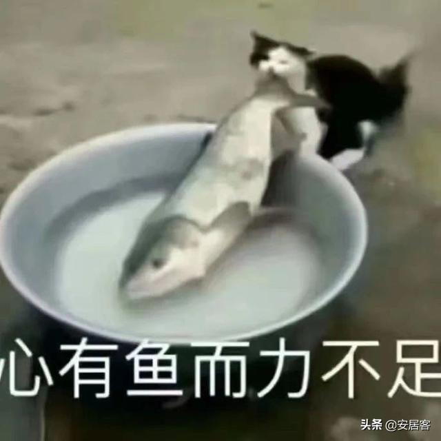 为什么要房抵贷，直接卖房不香吗？