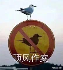 为什么要房抵贷，直接卖房不香吗？