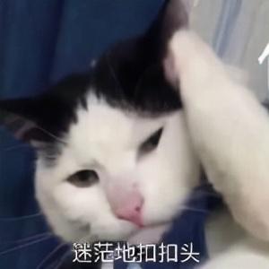为什么有的人只买三责险不买车损险,车损险到底有没有必要买?