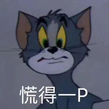 最高85万元!7月16日前,抓紧申报这个项目