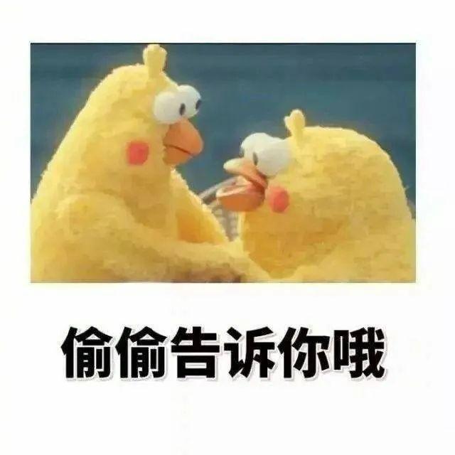 最高85万元!7月16日前,抓紧申报这个项目