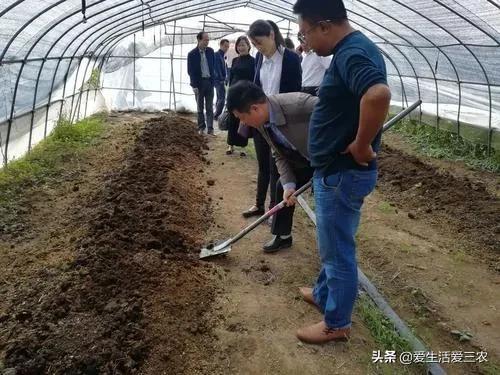 推荐四个农村低成本创业项目,门槛很低,最低投资只需千元
