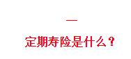 全面测评73款定期寿险,选出了2021年2月的性价比之王