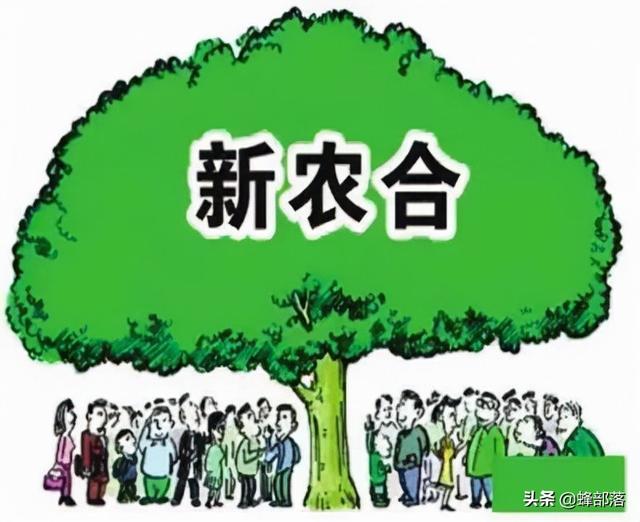 2022年农村医保9月开始缴费，2类人免交，3种缴费方式