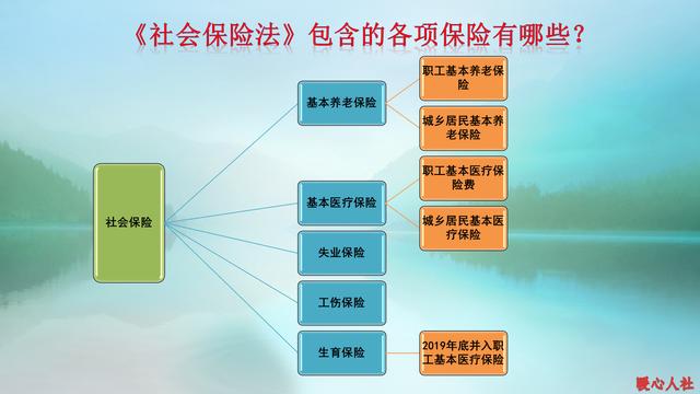 单位给停缴社保后,个人可以自己续缴吗?社保知识需要了解这些