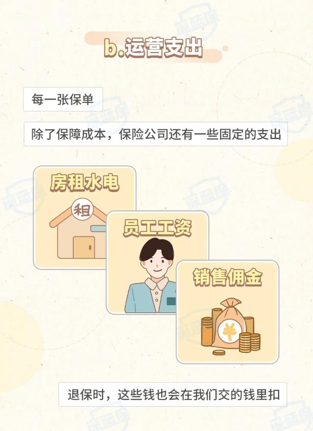 保费交了1万,凭什么只退几百块?不知道这些退保就亏了