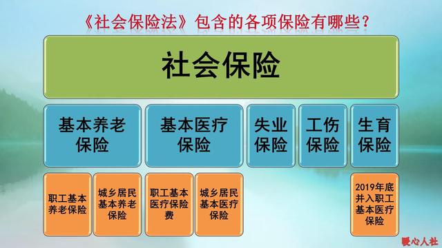 五险一金缴费基数,应该是按照什么标准确定?基数低有哪些影响?