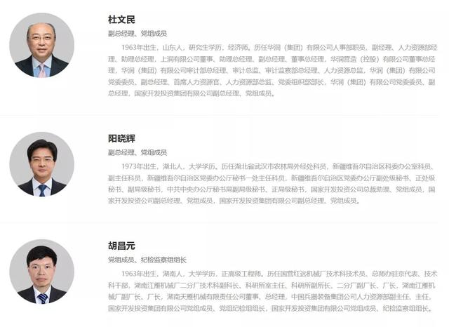 国家开发投资集团领导班子成员