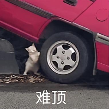 月薪5000元,退休能领多少钱?