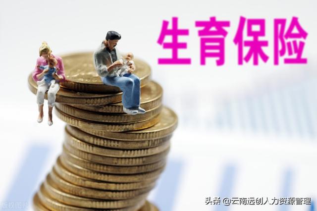 生育金是什么意思,是怎么计算的?