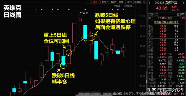 5日均线交易法