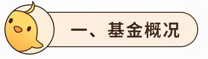 基金测评(124) 南方新优享:规模大了不赚钱?因为基金有这个特点