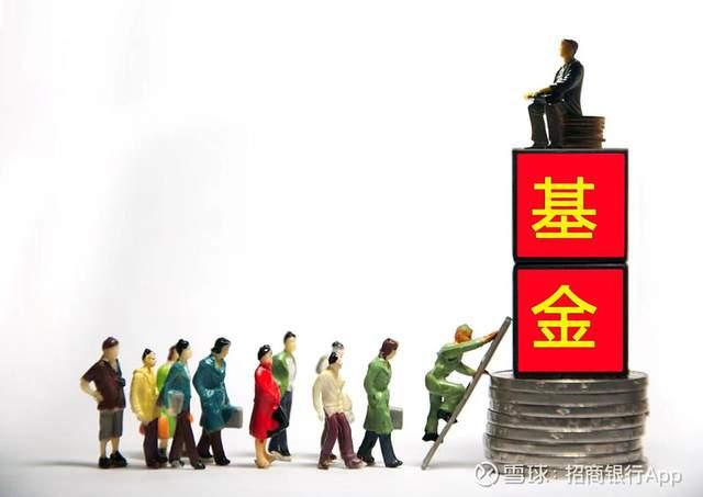 基金隐秘底牌曝光,一文看懂什么是基金中报