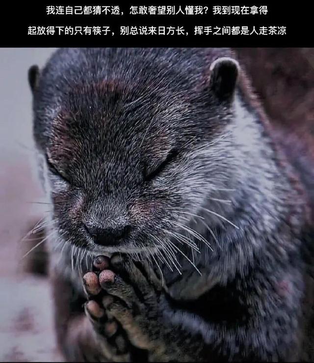 企业贷款税、票、流水贷要求有哪些?看清楚