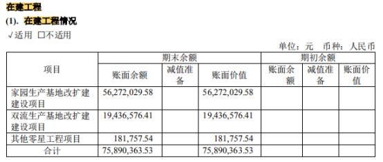 资产负债表——非流动资产