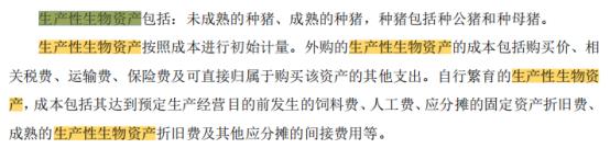 资产负债表——非流动资产