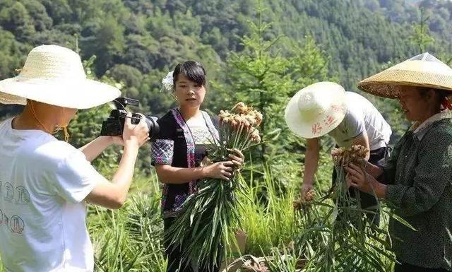 在农村有1万块钱本金,投资什么可以做到日收入300元?