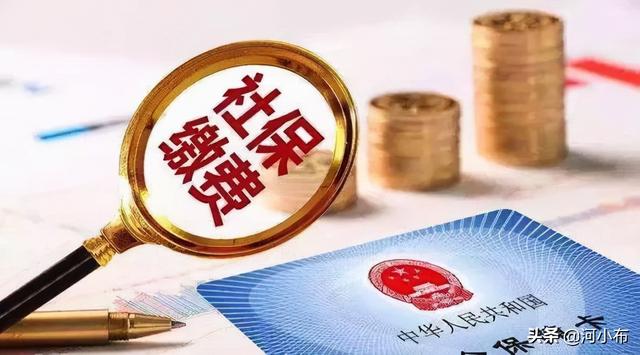 在网上，怎么查询个人的社保缴费情况
