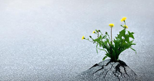 股坛打滚30载的老股民说破股市：“缩量上涨”意味着什么？是暴富机会还是踩雷区，这篇文章全说透了