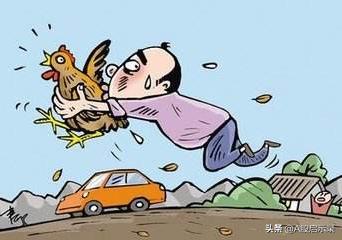 你是否有过这样的念头:分红前买入股票,第二天卖掉。白赚红利?