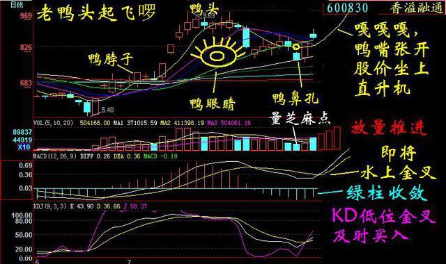 如果不想继续亏损，建议反复操作“老鸭头”不败战法（附选股公式），大胆买进，坐等主力拉升！