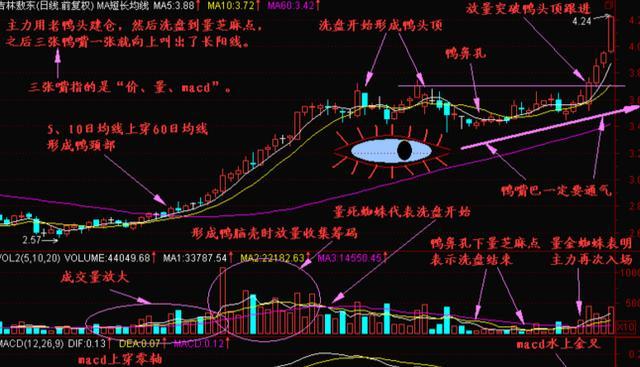 如果不想继续亏损，建议反复操作“老鸭头”不败战法（附选股公式），大胆买进，坐等主力拉升！
