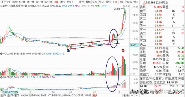 K线基础知识2:K线分析核心技巧,一眼识别K线结构,多空强弱