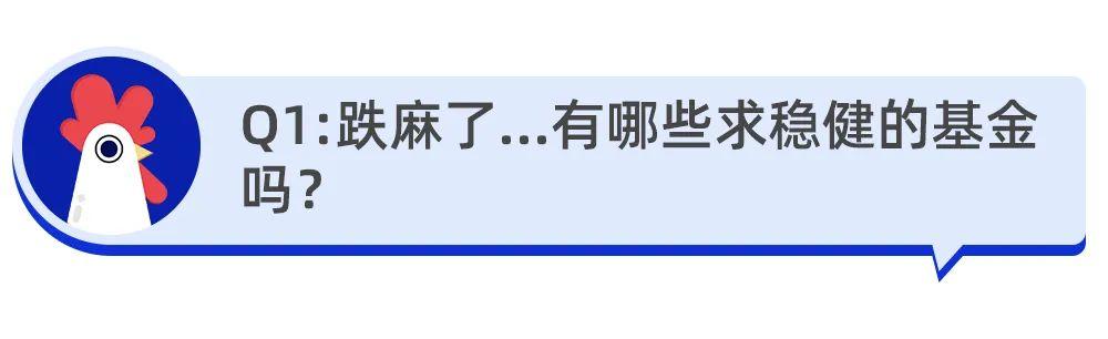 “跌麻了…有哪些求稳健的基金吗？”