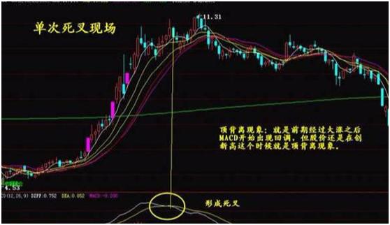 MACD干货分享，最全面的MACD介绍，看完这一文，明明白白真正理解指标重要性