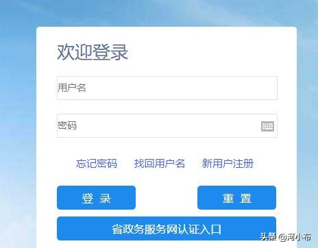 输入姓名查询社保缴费明细