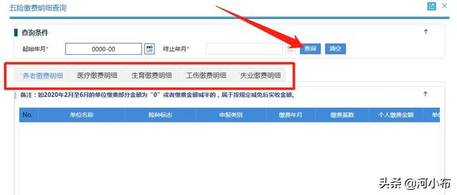 输入姓名查询社保缴费明细