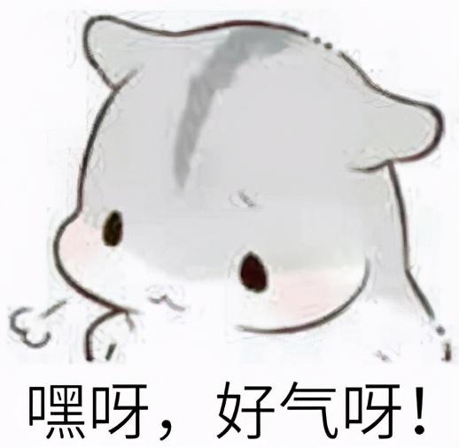 买了不想要的保险,怎么退保才能0损失?