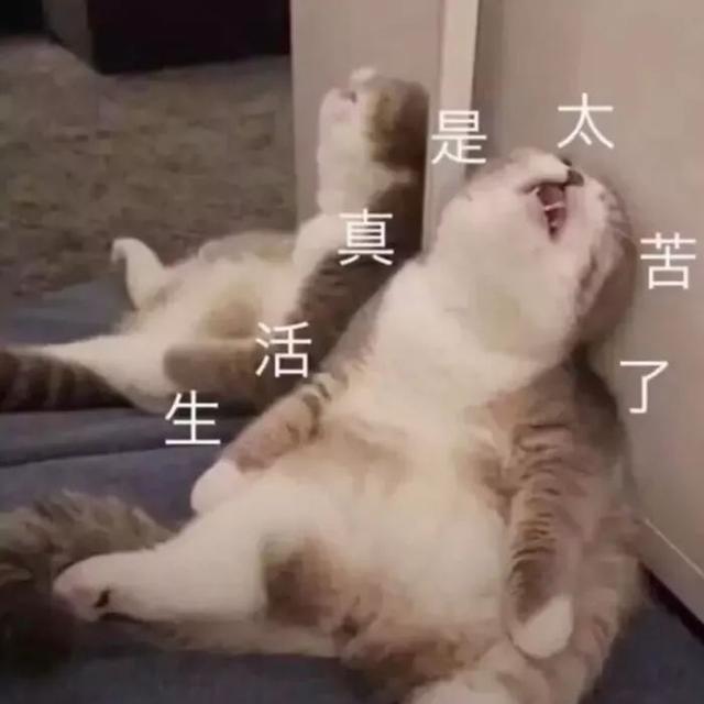 买了不想要的保险,怎么退保才能0损失?