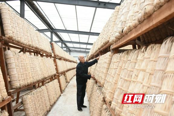 谈镇兴·安化｜冷市镇：热茶暖了冷市富了群众