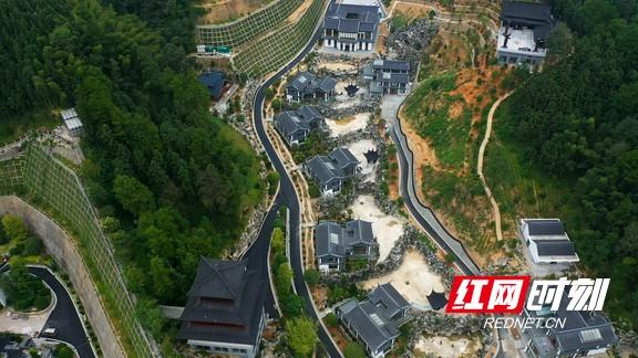 谈镇兴·安化｜冷市镇：热茶暖了冷市富了群众