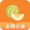 肉丸书吧免费无广告版