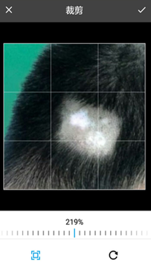 202251311271875970.png