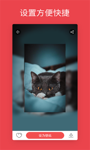 安卓动态壁纸2023最新版截图3