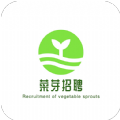 菜芽招聘高薪诚聘软件