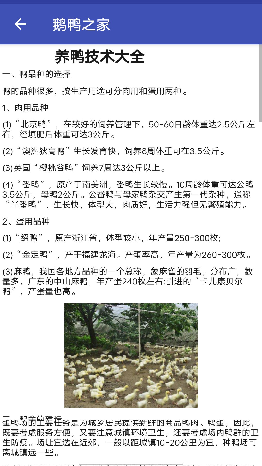 0a6f1ce3a623afe52814b451c21eeccc.jpg