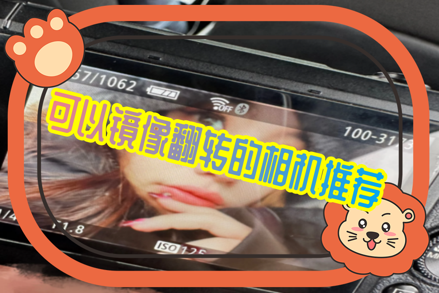 可以镜像翻转的相机推荐