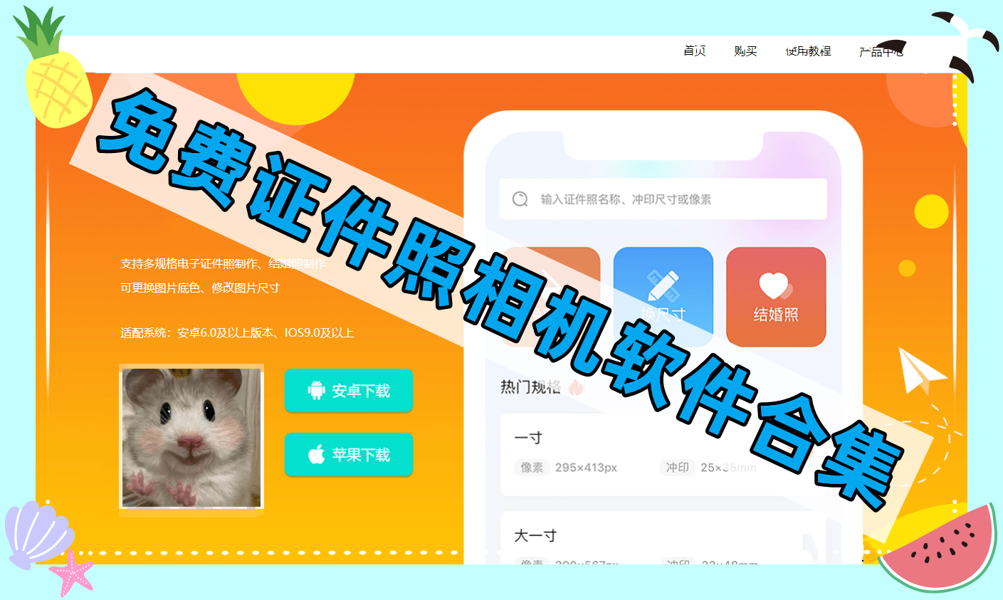 免费证件照相机软件合集