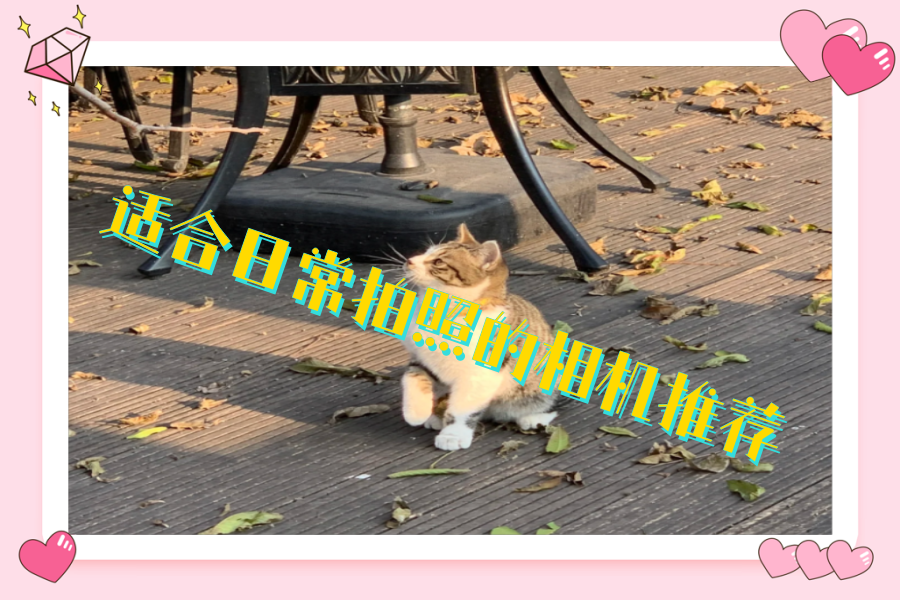 适合日常拍照的相机推荐