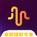 ins音频提取app ins音频提取app