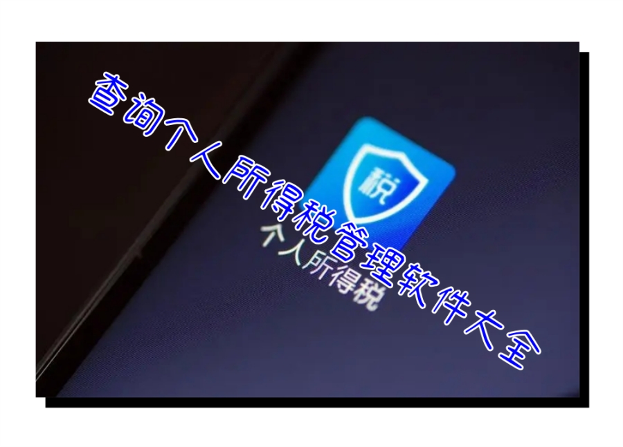 查询个人所得税管理软件大全
