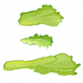 三生菜app 三生菜app